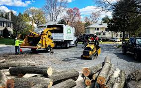 Best Storm Damage Tree Cleanup  in Huntingdon, PA