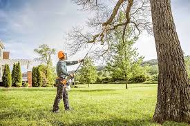 Best Tree Maintenance Programs  in Huntingdon, PA