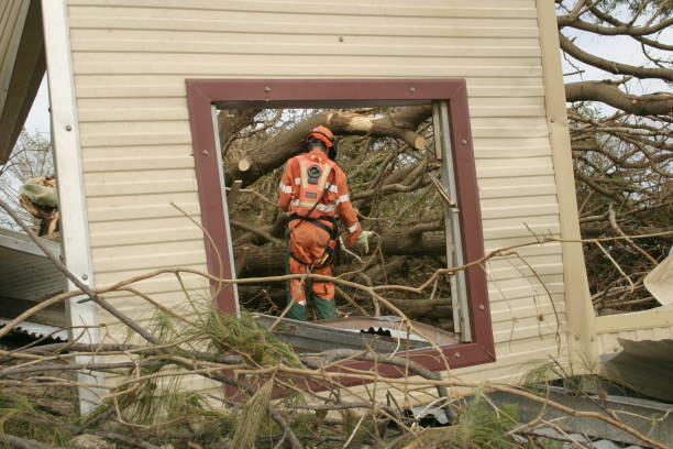 Best Tree Mulching  in Huntingdon, PA