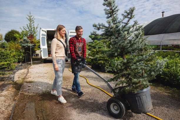 How Our Tree Care Process Works  in  Huntingdon, PA